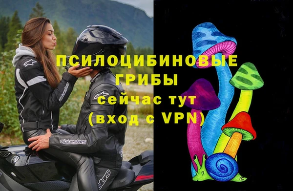гашик Заволжье
