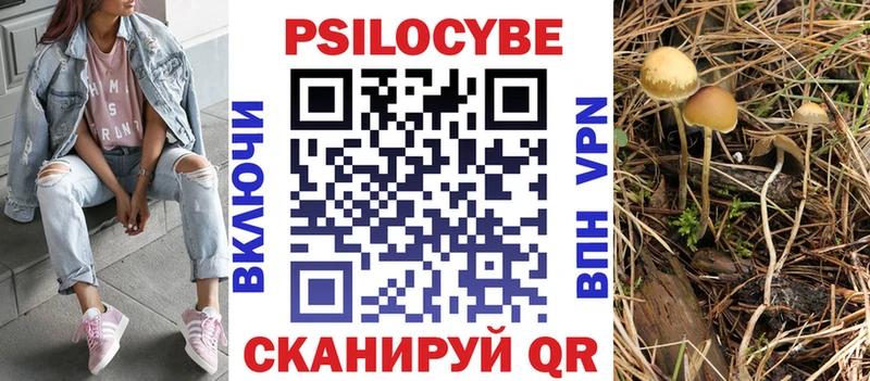 Купить закладки  Междуреченск  Псилоцибиновые грибы прущие грибы 